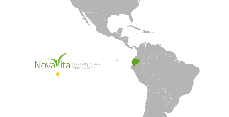 map novavit